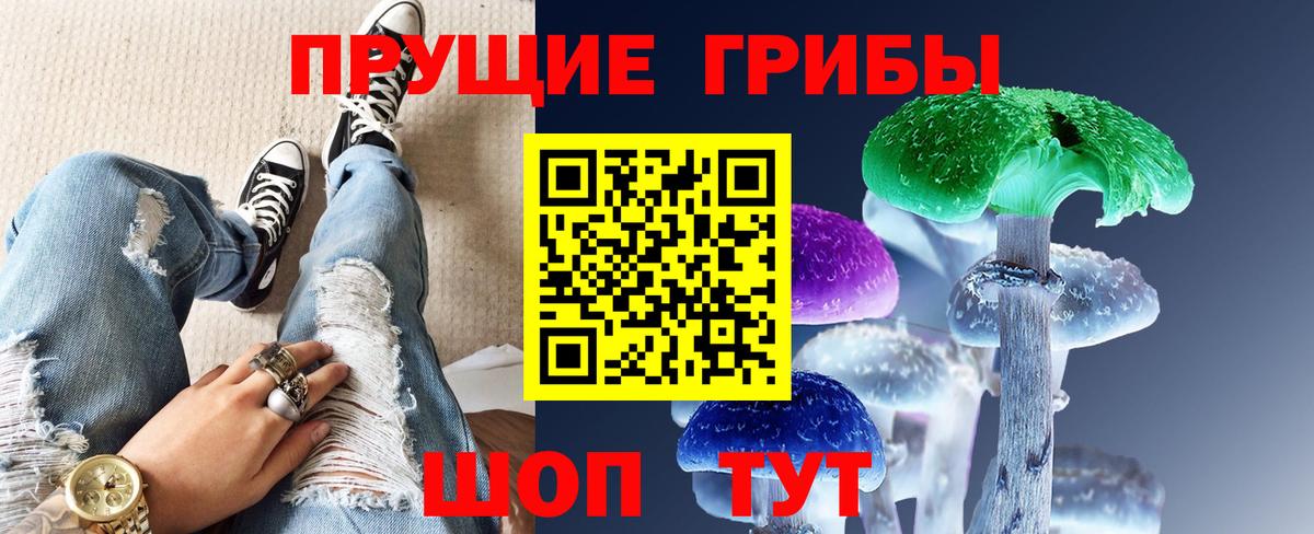 Псилоцибиновые грибы Psilocybe  Вход с VPN  где купить наркоту  Чусовой 
